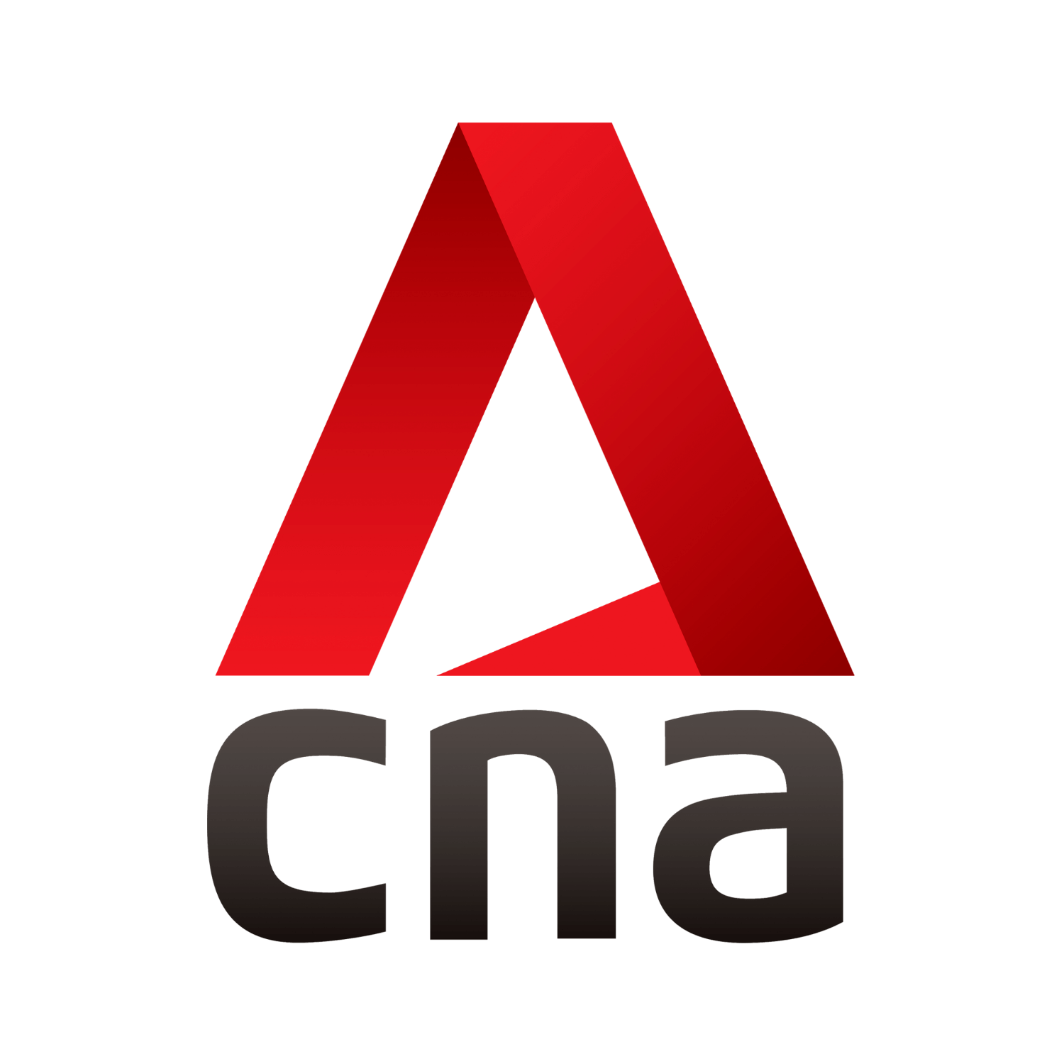 CNA - Catch Cheating Spouse